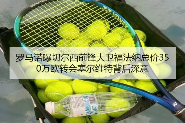罗马诺曝切尔西前锋大卫福法纳总价350万欧转会塞尔维特背后深意